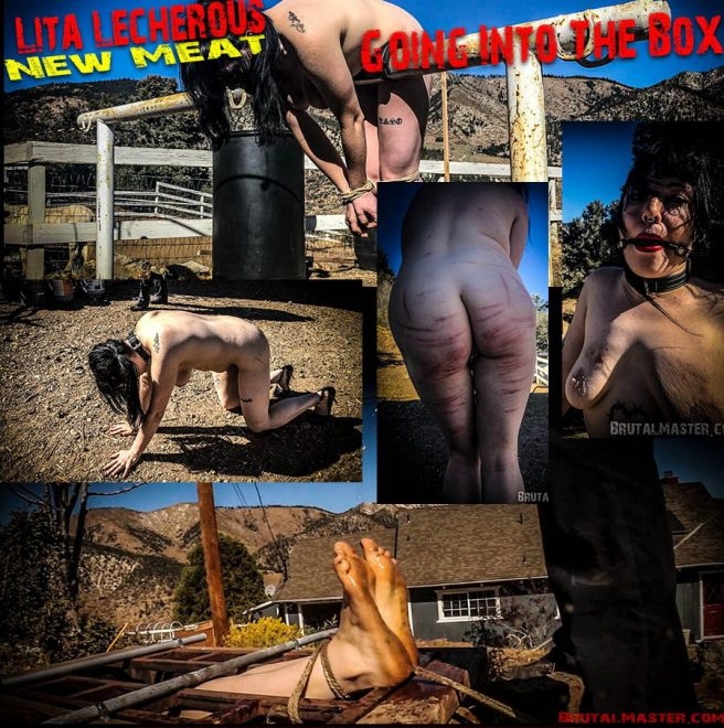 Brutal Master LIta Lecherous - New Meat – Going Into The Box (2019/FullHD/980 MB)