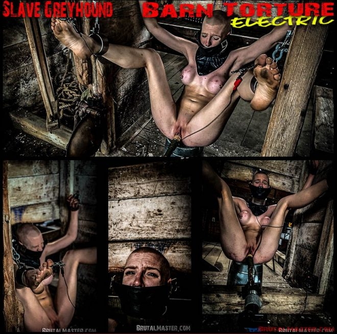 BrutalMaster - Slave Greyhound Barn Torture Electric (2020/FullHD/1.85 GB)