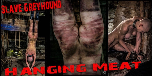 Hanging Meat - Slave Greyhound (2020/FullHD/2.28 GB)