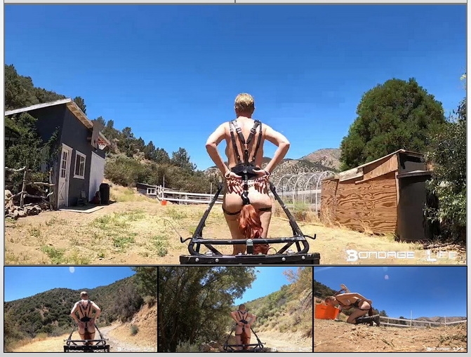Bondage Life - Rachel Greyhound - Pony Cart Ride (2020/HD/636 MB)