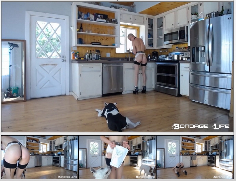 Bondage Life - Rachel Greyhound - Domestic Service (2020/HD/268 MB)