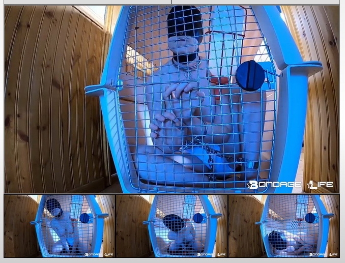 BondageLife - Rachel Greyhound - In The Crate (2020/HD/536 MB)