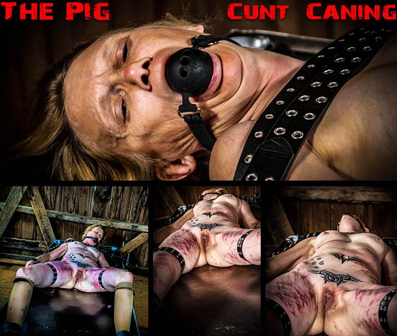 BrutalMaster - The Pig – Cunt Caning (2020/FullHD/1.78 GB)