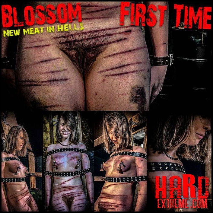 BrutalMaster - NEW MEAT Blossom First Time (Chapter One) (2021/FullHD/1.41 GB)