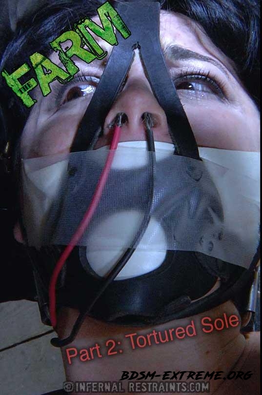 The Farm: Part 2 Tortured Sole With Siouxsie Q (2023/HD) [InfernalRestraints]